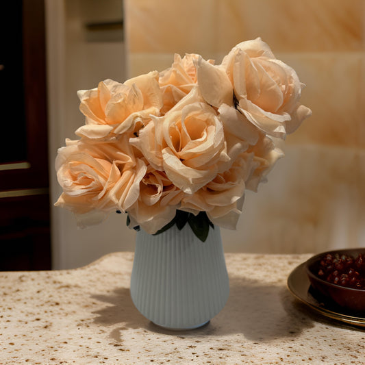 Linear Soft Peach